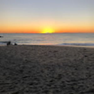 Meet your Posher, Samuel